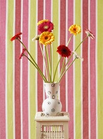 Bouquet of Gerberas in Front of Striped Wallpaper